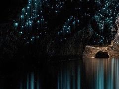 -怀托摩萤火虫洞