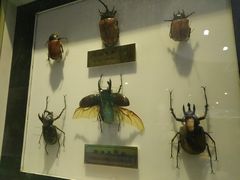 -上海昆虫博物馆