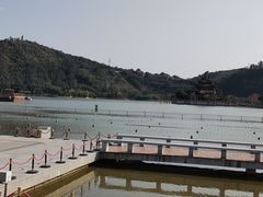 -顺峰山公园
