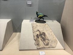 -辽宁古生物博物馆