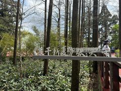 -莫干山风景区