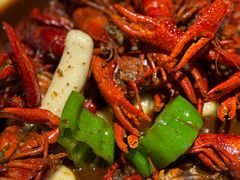 -京悦南门涮羊肉·羊蝎子火锅(田林路店)