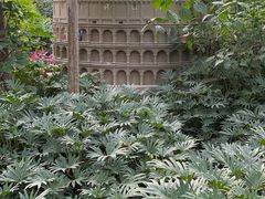 -南宫五洲植物乐园