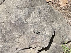 -北京十三陵国家森林公园蟒山景区