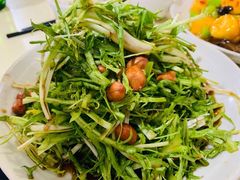 凉拌苦菊-满口香饭店
