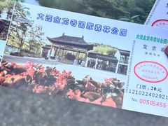 -金龙寺国家森林公园