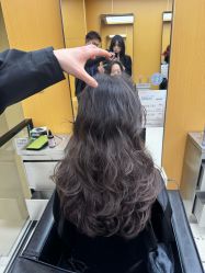 -东方麒麟·潘多拉SALON