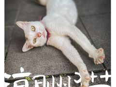 -潮州古城