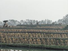 -乌村