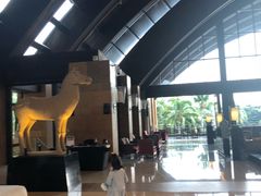 -三亚湾海居铂尔曼度假酒店