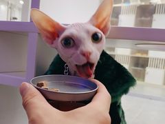 -极木²邸 人与宠物·互动社区
