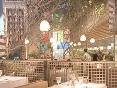 -桂满陇·海市蜃楼·黑金(国金店)