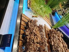 -V-ONE西雅图海鲜自助餐厅(仓山万达广场店)