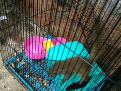 -楠溪江风景名胜区