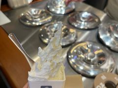 -野人先生Gelato(上海长宁龙之梦店)