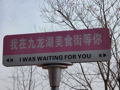 -九龙湖公园