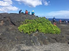-夏威夷火山国家公园