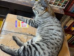 -正阳书局(西四南大街店)