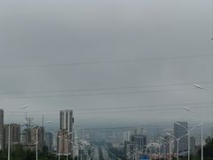 -幸福门