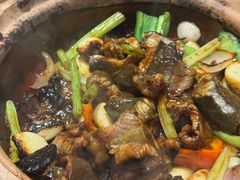 生啫金边花鳝-天宝食坊·啫啫煲大排档(西华路店)