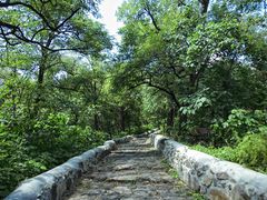 -阳台山自然风景区