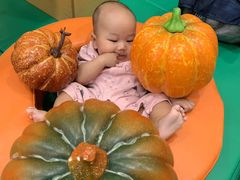 -金宝贝早教(万象城校区)