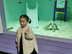 -大连圣亚海洋世界