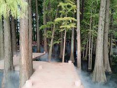 -东湖落雁景区