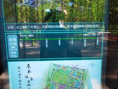 -东平国家森林公园