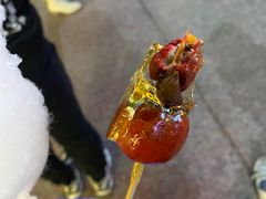 -小大董·烤鸭(五棵松店)