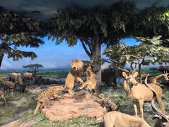 -国家自然博物馆