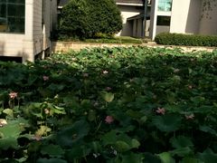 -绍兴鉴湖君澜大酒店