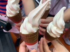 -富豪雪糕车流动点(尖沙咀店)