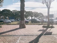 -野生动物园-停车场