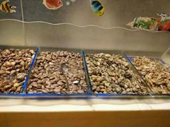 -银鲨海鲜烤肉火锅自助餐厅(五星店)
