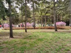 -黑龙江省森林植物园