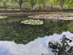 -深圳龙潭公园