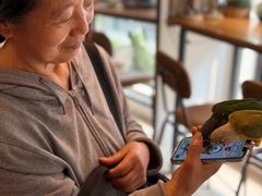 -吉丁鸟咖·异宠·寄养