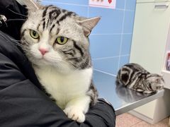 -北京博爱动物医院有限公司