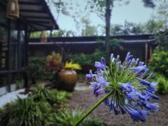 -乐领拈花溪·林涧食韵