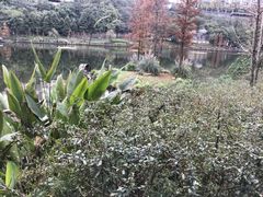 -重庆彩云湖湿地公园