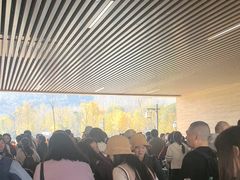 -千年银杏谷文化旅游区