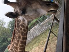 -石家庄市动物园