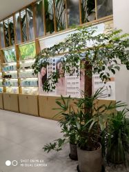 -悦诗风吟innisfree