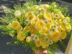 -CGV影城(九亭金地广场SphereX店)