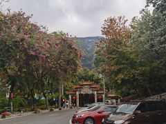 -广州市流溪河国家森林公园