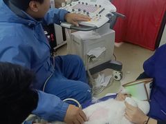-美联众合宠物医院·爱萌分院·内外科·猫科中心
