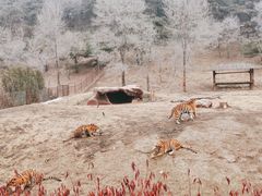 -沈阳森林动物园