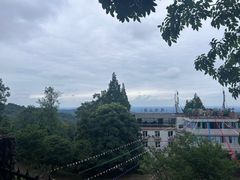 -凤栖山