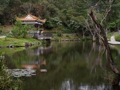 -深圳仙湖植物园